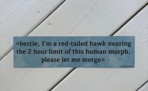 Animorph reference bumper sticker