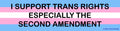 “I SUPPORT TRANS RIGHTS ESPECIALLY THE SECOND AMENDMENT” Bumper magnet