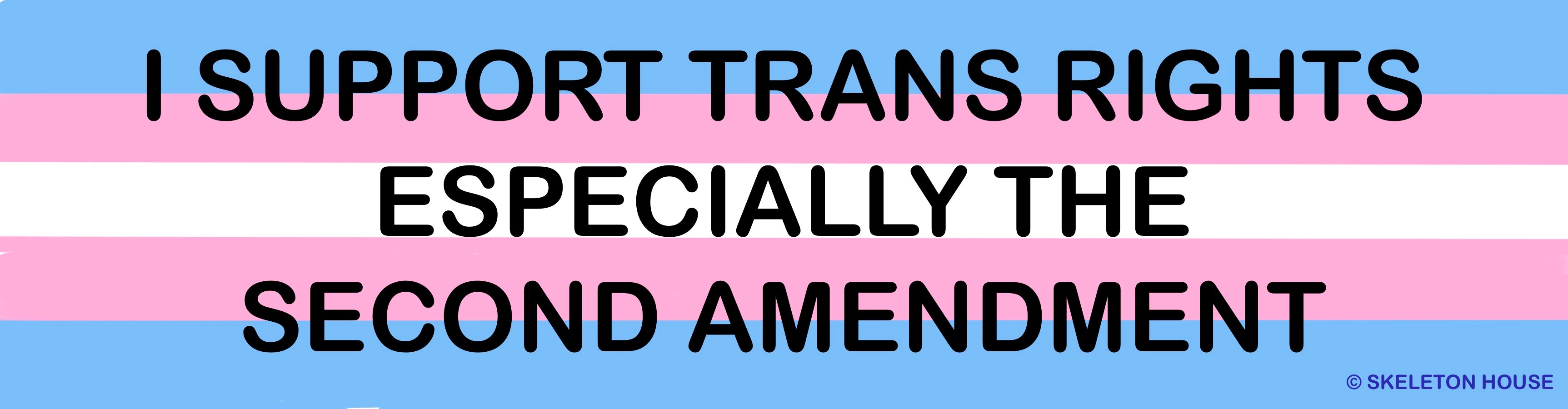 “I SUPPORT TRANS RIGHTS ESPECIALLY THE SECOND AMENDMENT” Bumper magnet